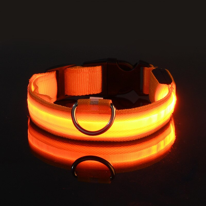 Rechargeable Flashing LED Dog Collar