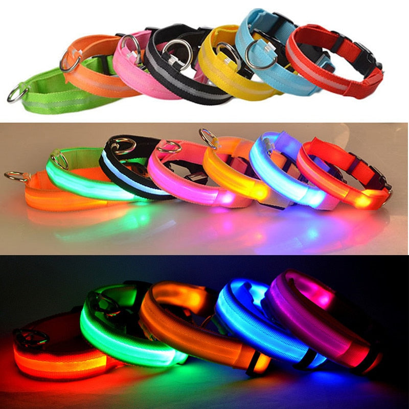 Rechargeable Flashing LED Dog Collar