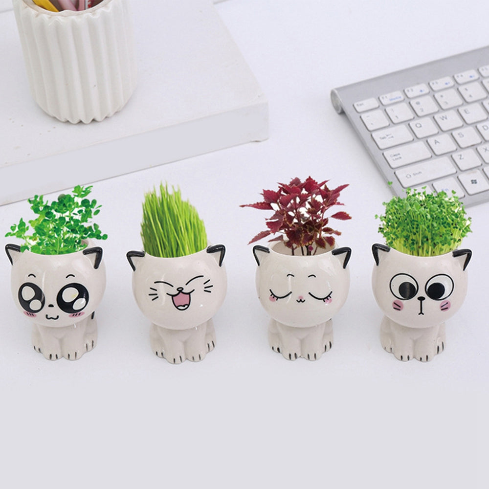 Mini Cat-Shaped Cartoon Ceramic Flowerpot