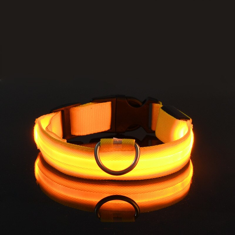 Rechargeable Flashing LED Dog Collar