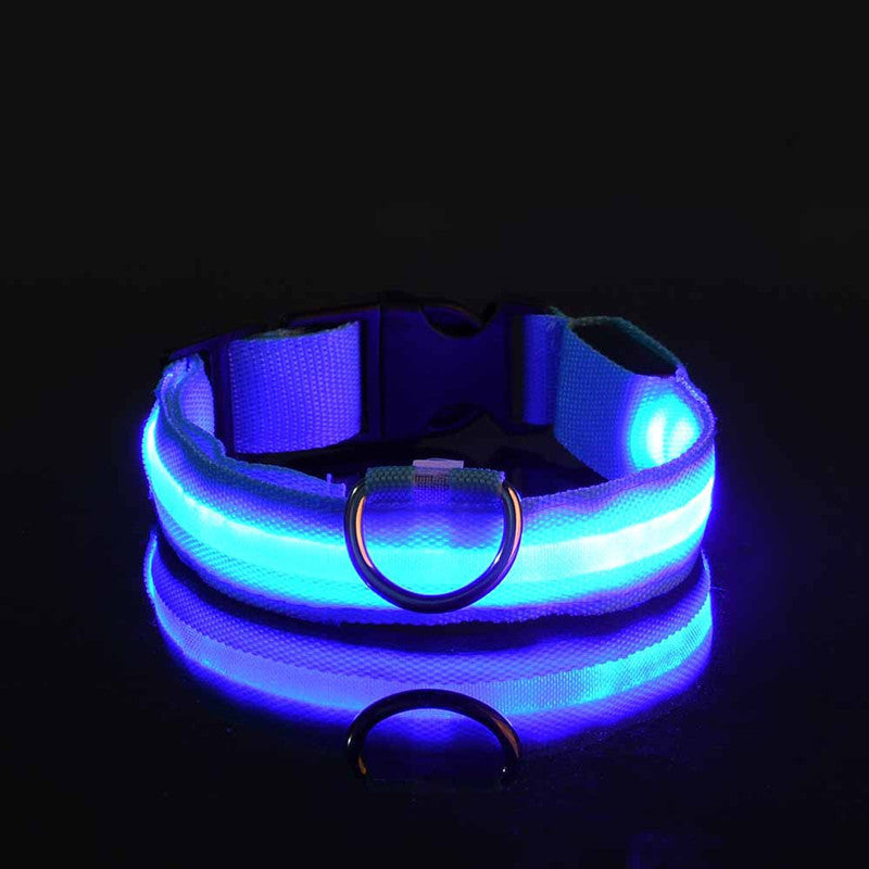 Rechargeable Flashing LED Dog Collar