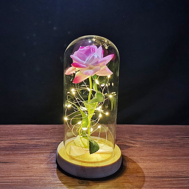 LED Enchanted Galaxy Rose Eternal 24K Gold Foil Flower with String Lights In Dome for Home Decor