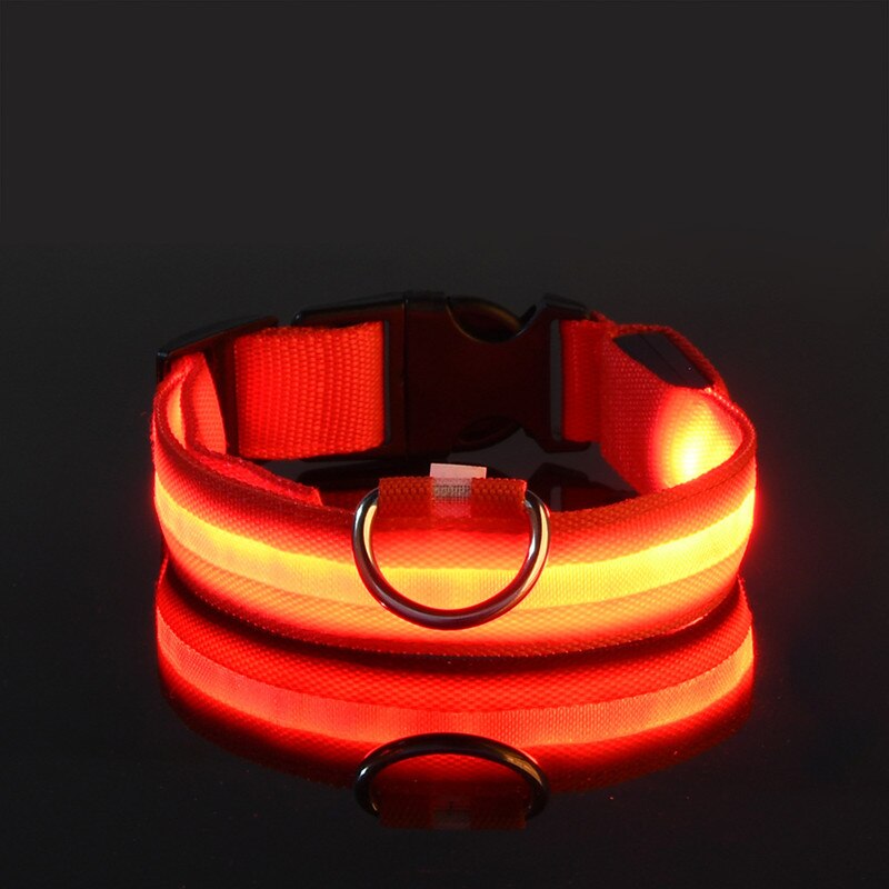 Rechargeable Flashing LED Dog Collar