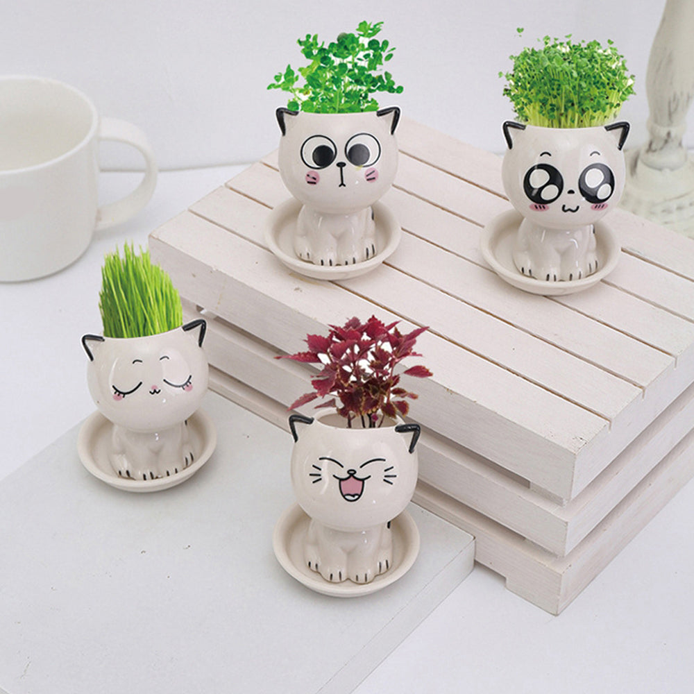 Mini Cat-Shaped Cartoon Ceramic Flowerpot