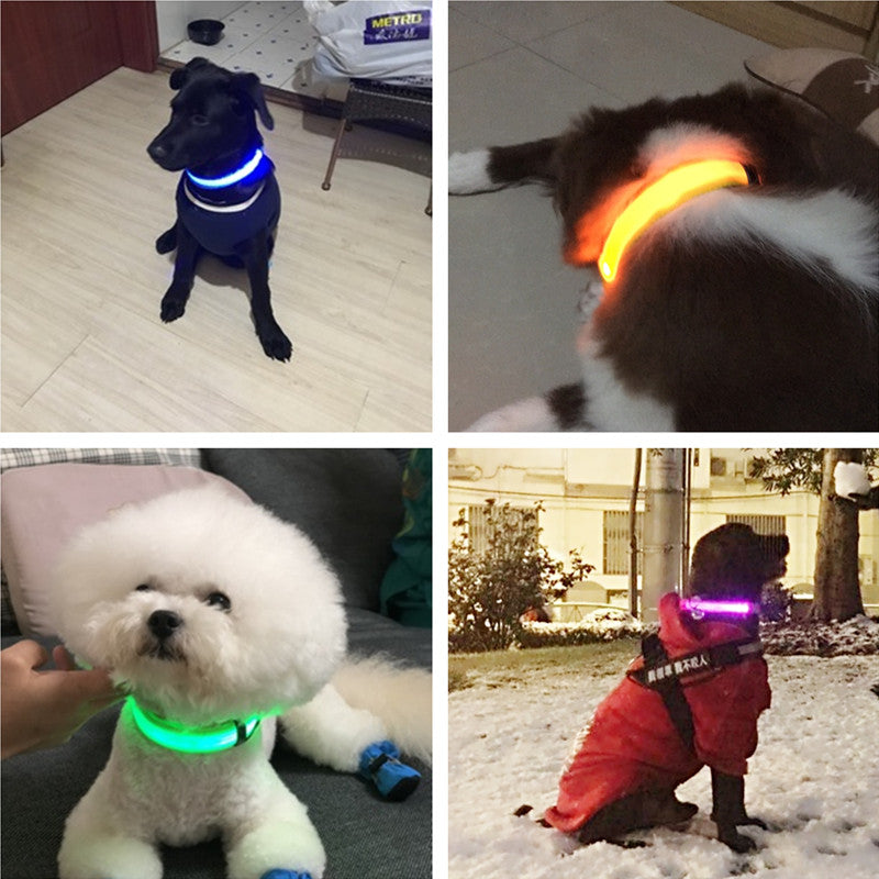 Rechargeable Flashing LED Dog Collar