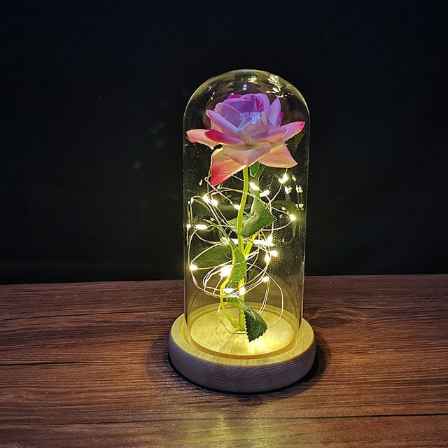 LED Enchanted Galaxy Rose Eternal 24K Gold Foil Flower with String Lights In Dome for Home Decor