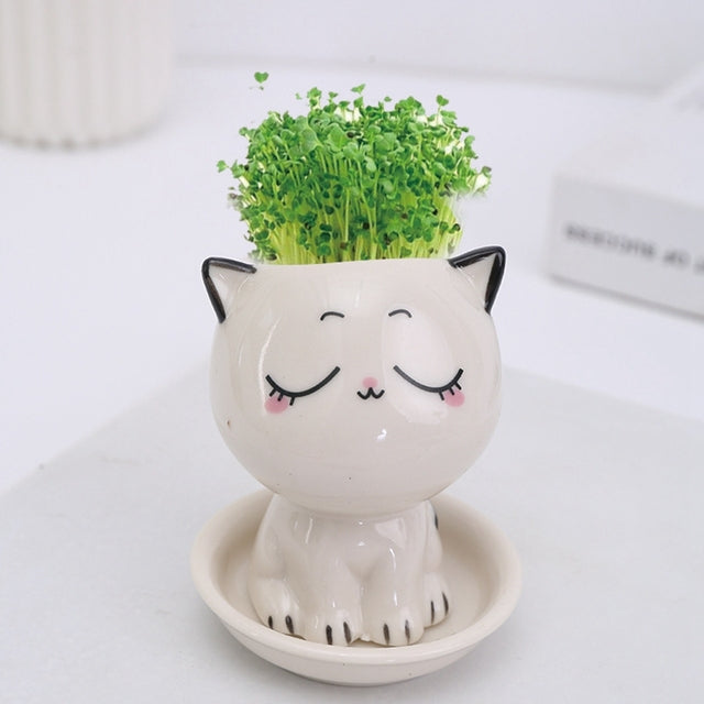 Mini Cat-Shaped Cartoon Ceramic Flowerpot