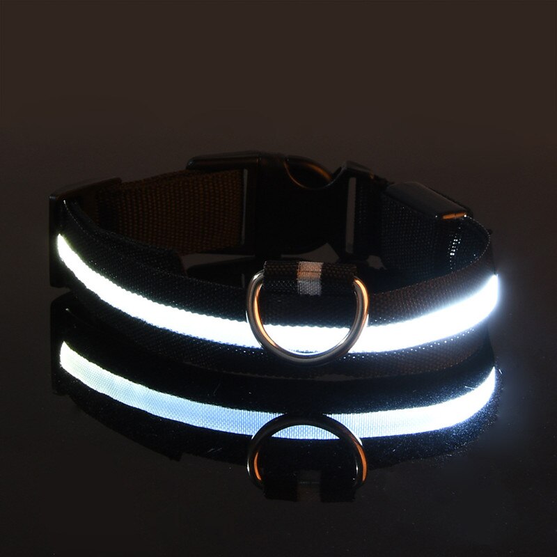 Rechargeable Flashing LED Dog Collar