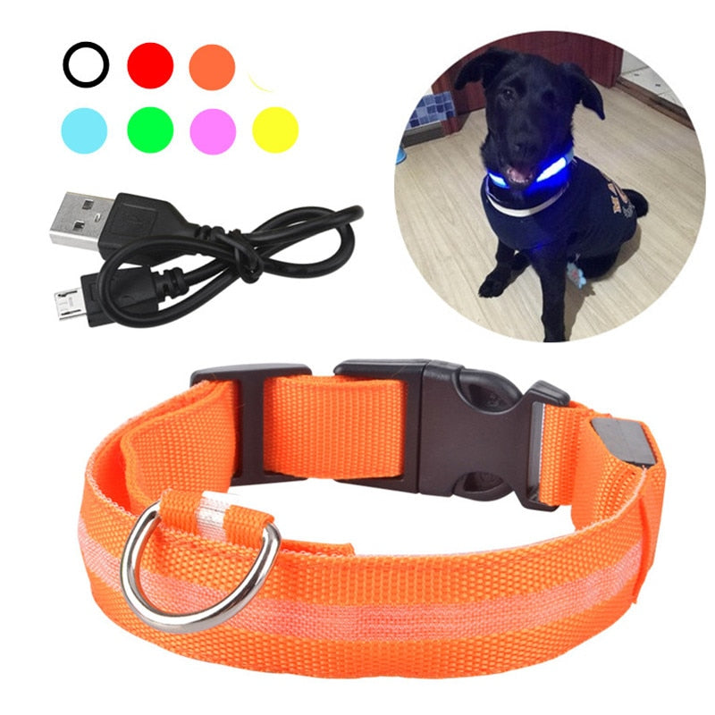 Rechargeable Flashing LED Dog Collar