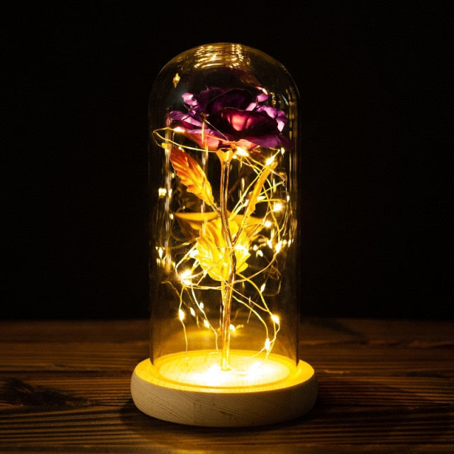 LED Enchanted Galaxy Rose Eternal 24K Gold Foil Flower with String Lights In Dome for Home Decor