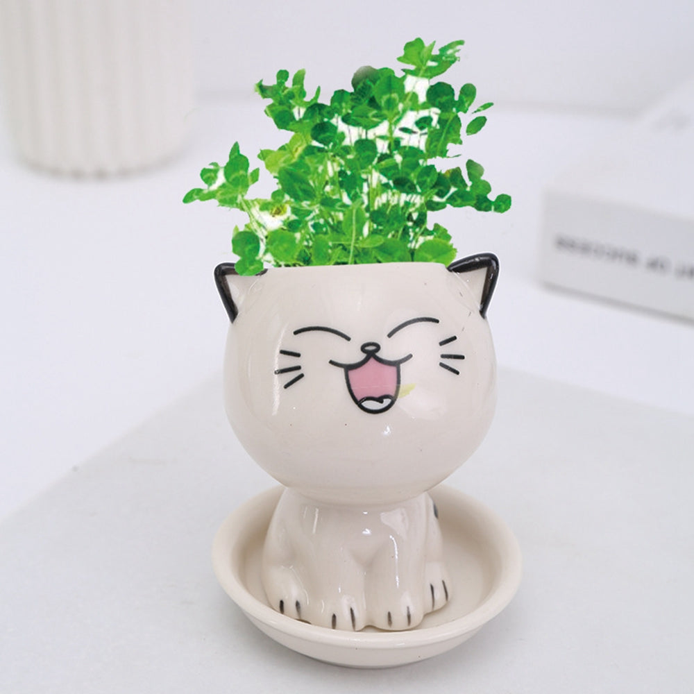 Mini Cat-Shaped Cartoon Ceramic Flowerpot