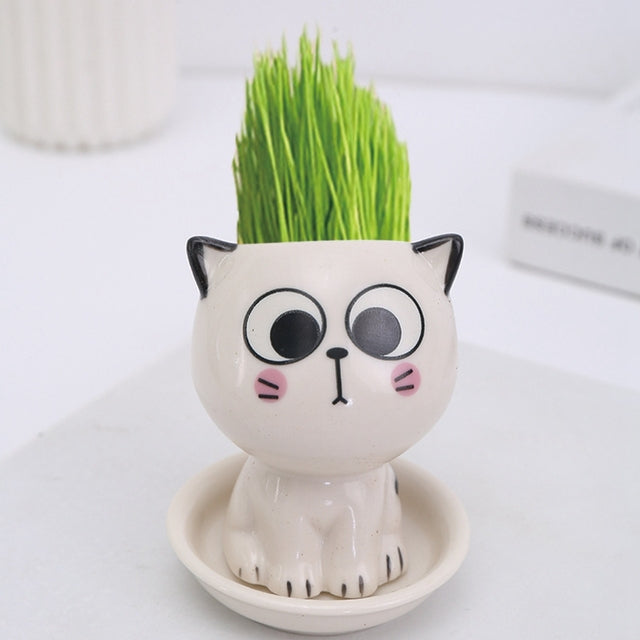 Mini Cat-Shaped Cartoon Ceramic Flowerpot